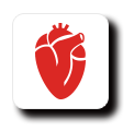 Cardiologia - Especialidades